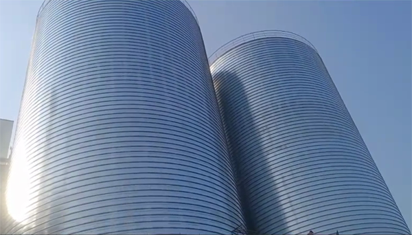 巧家2座混凝土高架卷板仓